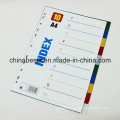 10 Pages Colored PP Index Divider Without Number Printed (BJ-9022) , China Manufacturer of Index Divider, China Factory of Index Divider.